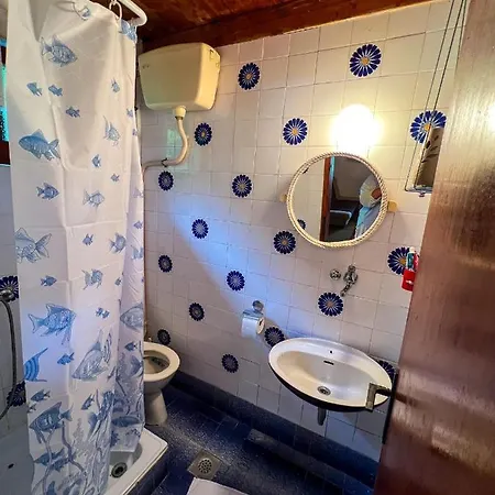 Varljivo Leto, Fruska Gora 펜션 Cortanovci